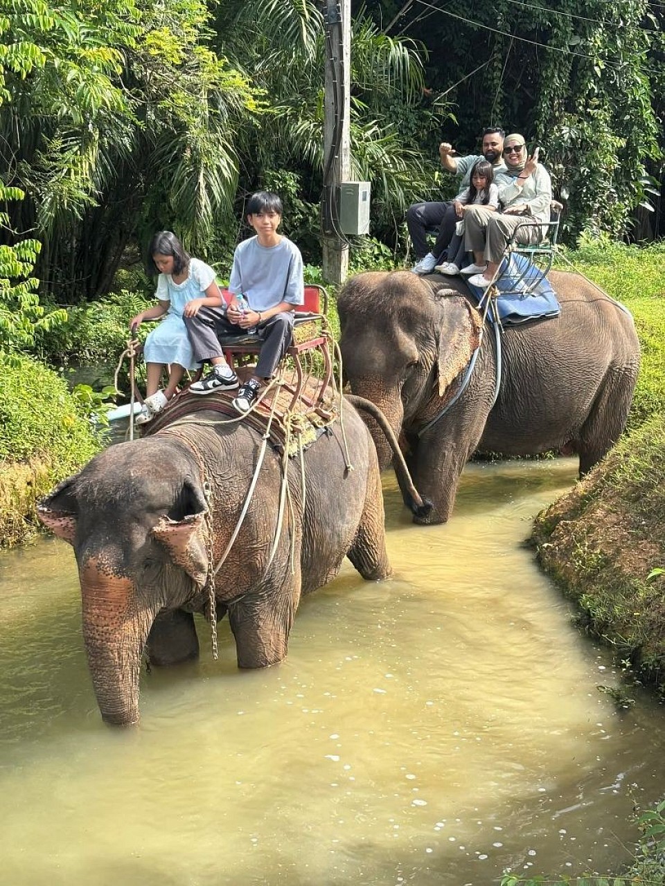 Tripikrabi